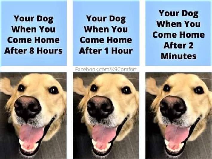 Time is an illusion