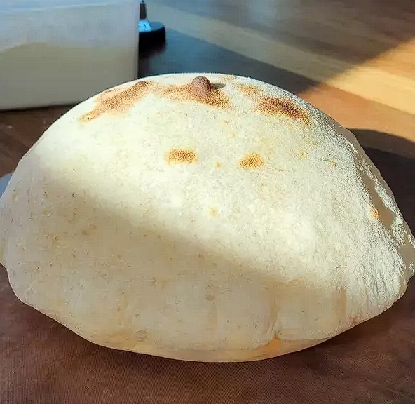I just wanted to make some pizza dough at home...