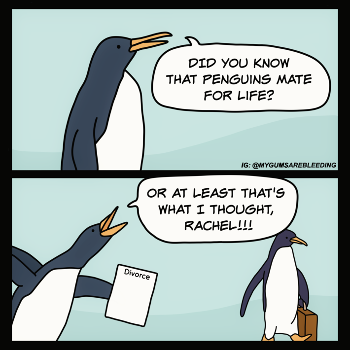 Did You Know That Penguins Mate for Life?