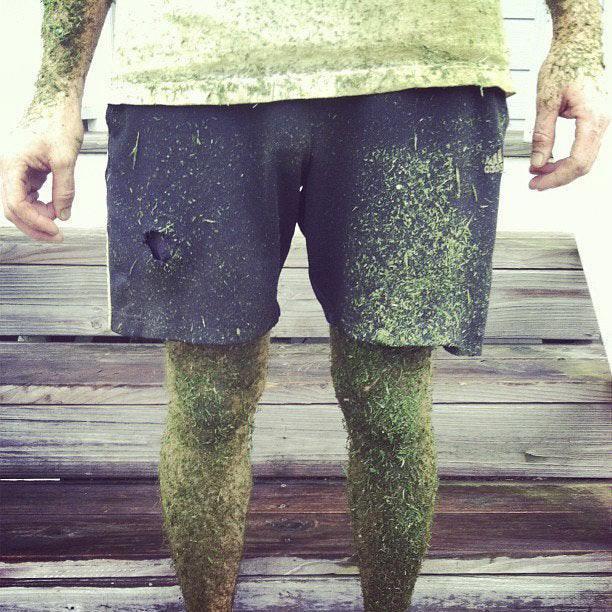 I fought the lawn and the lawn won.