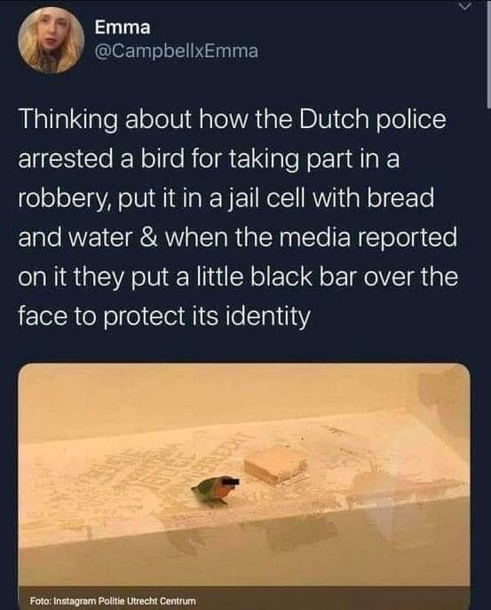 At least they’re protecting his identity! News link in comments