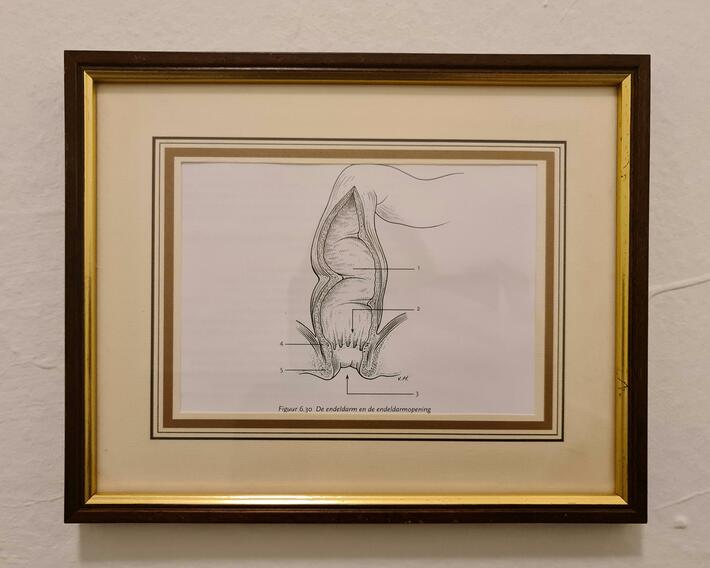 my boyfriend asked me to find art to hang above the toilet