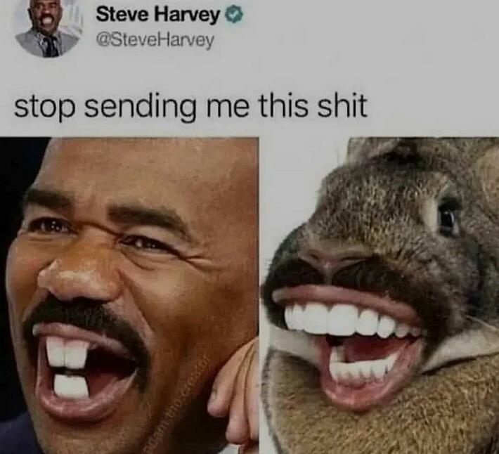steve