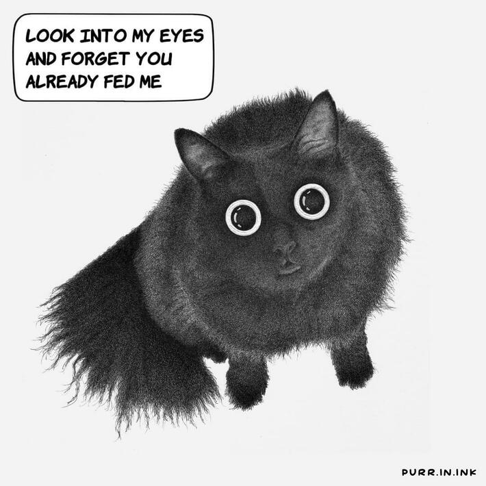 Hypnocat