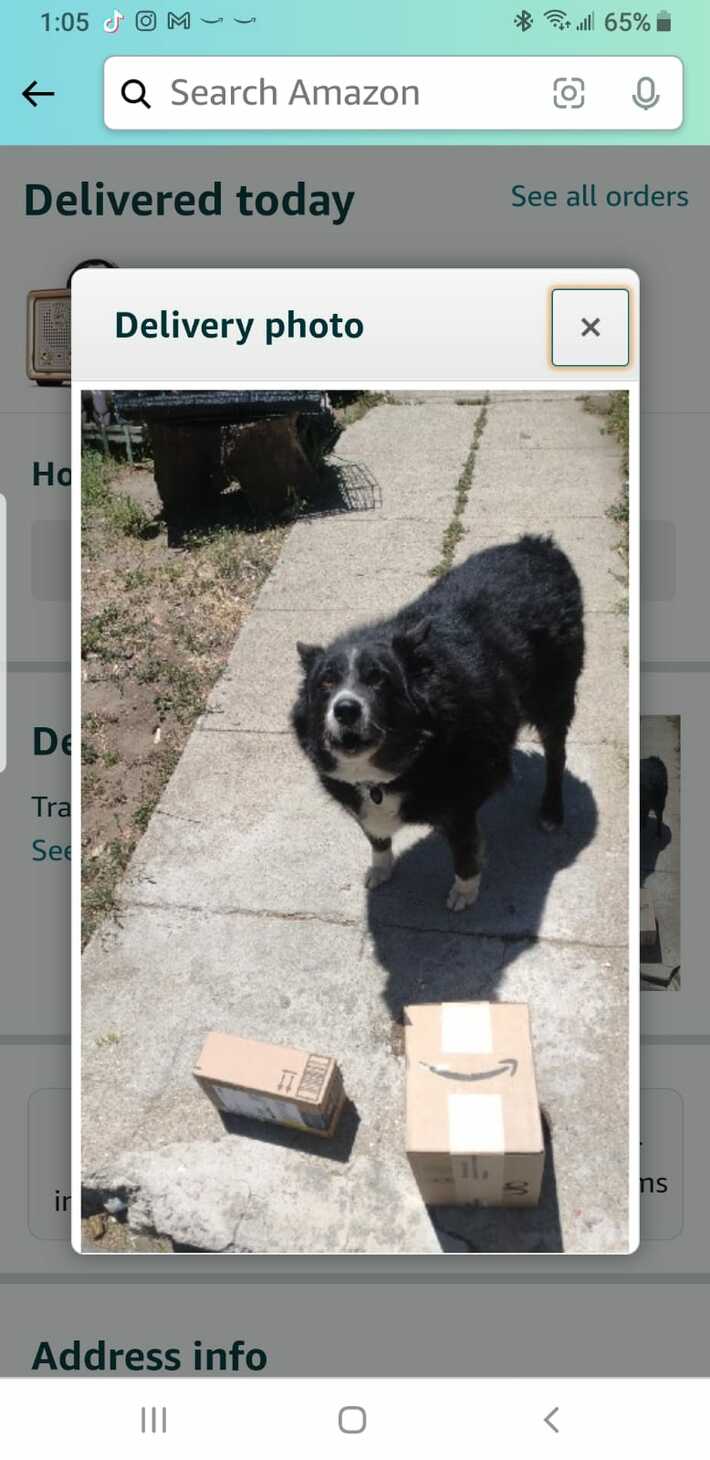 This is the picture Amazon sent my BIL to say the packages were "delivered to a family member directly"
