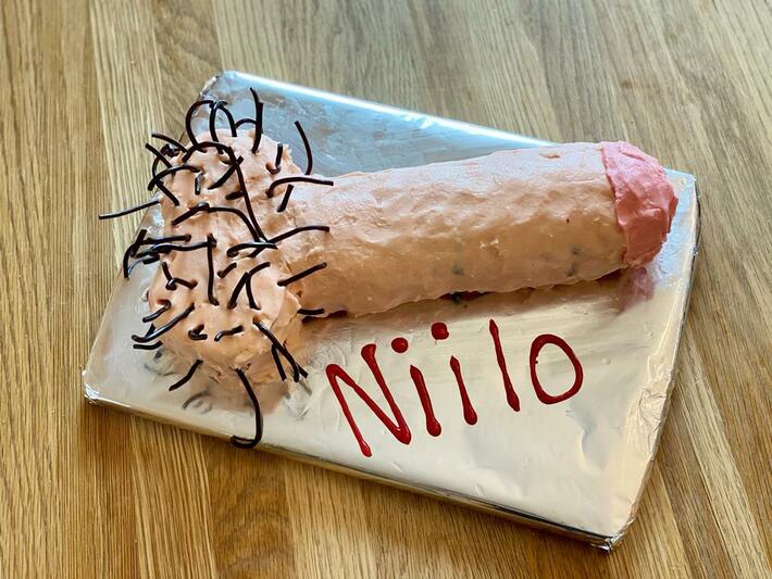 My stepson is always drawing penis shapes on our car. We took our revenge with his birthday cake.