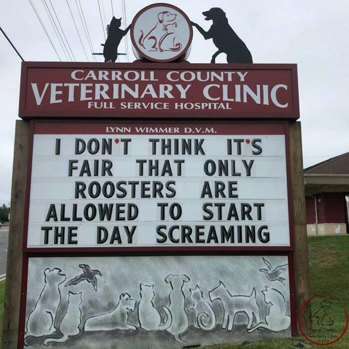 Everyone should be able to do it