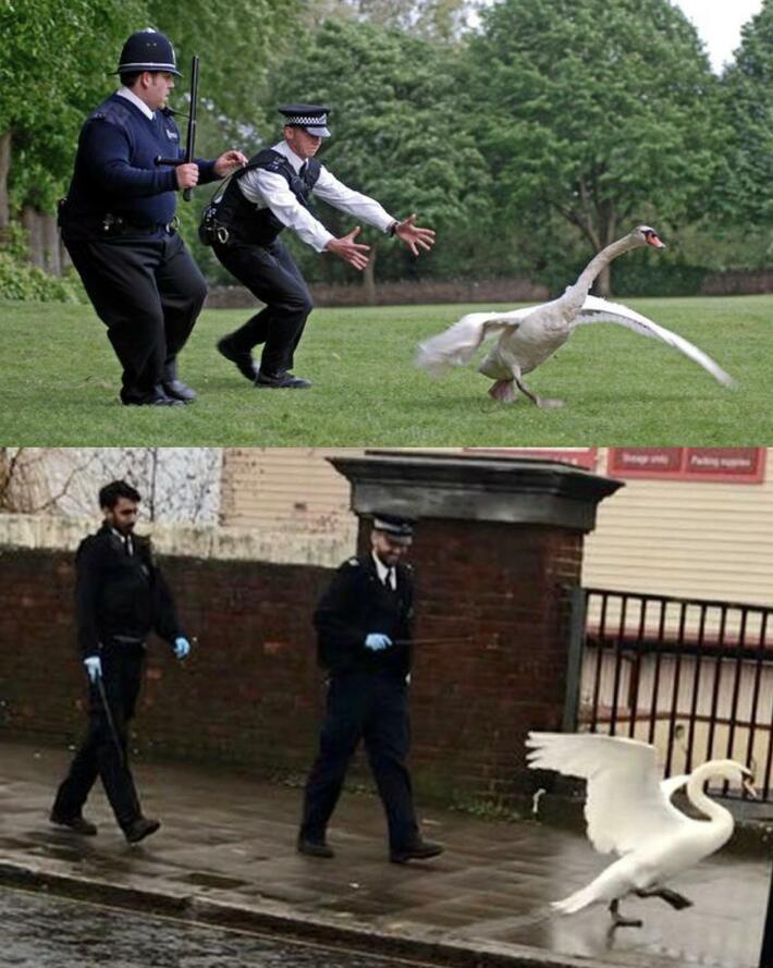 Wondered if the sequel to Hot Fuzz was being filmed in my town…