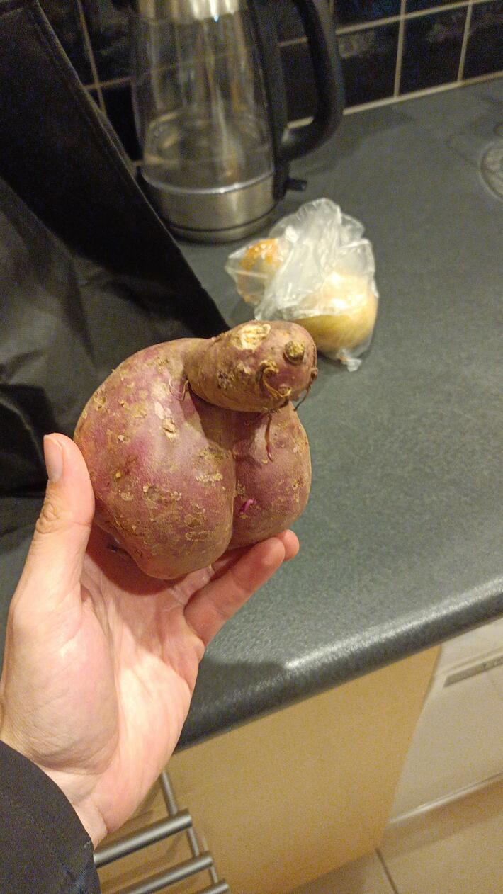 What a beaut! 10/10 Pedigree dick veggie