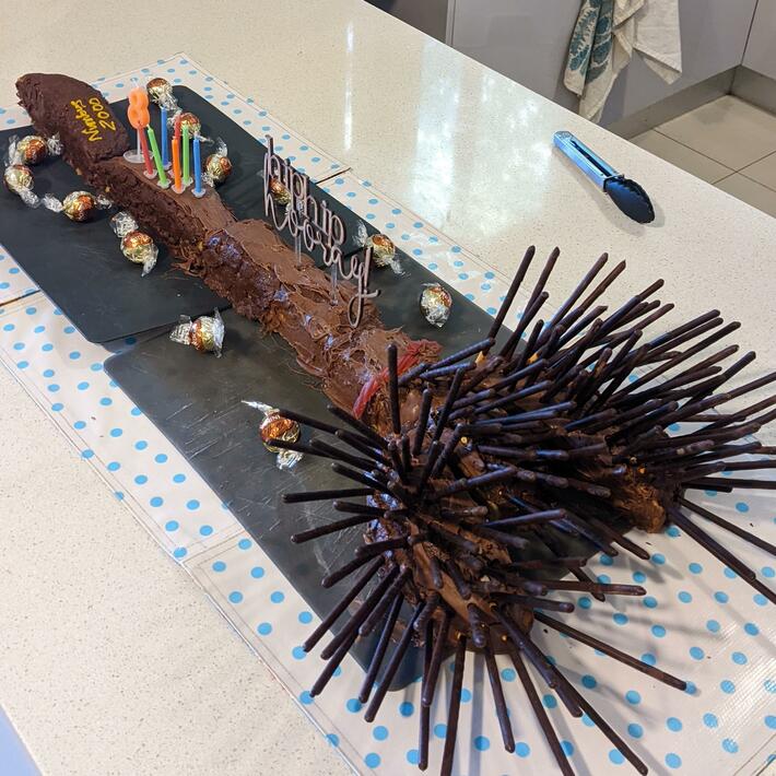 My loving wife spent hours on this Harry Potter broom cake for our kid and I'm a horrible husband