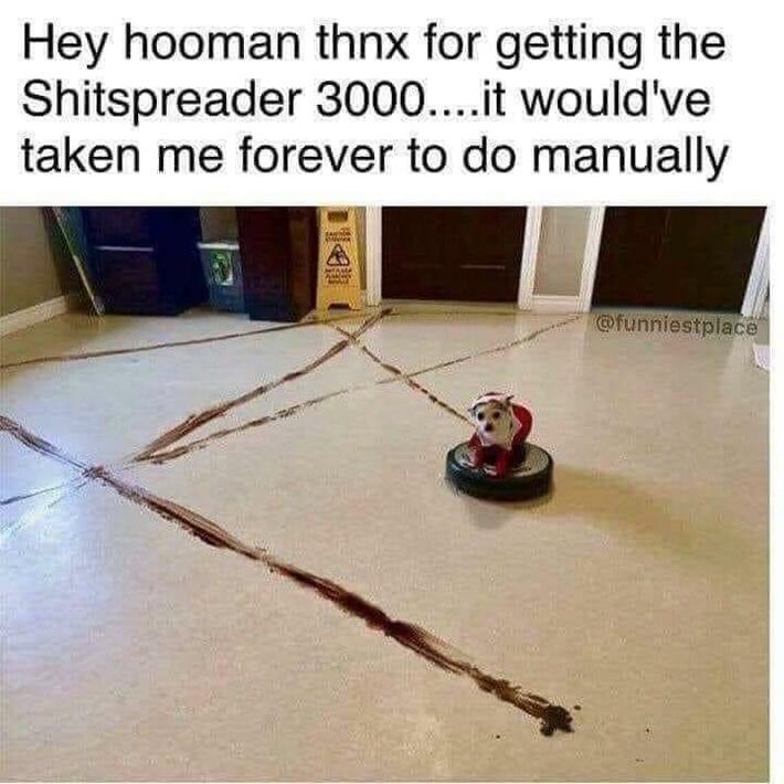 EZ W for the dog. 😂