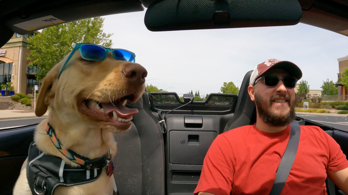 My passenger wanted to ride topless. Never had so many head turns in my life.