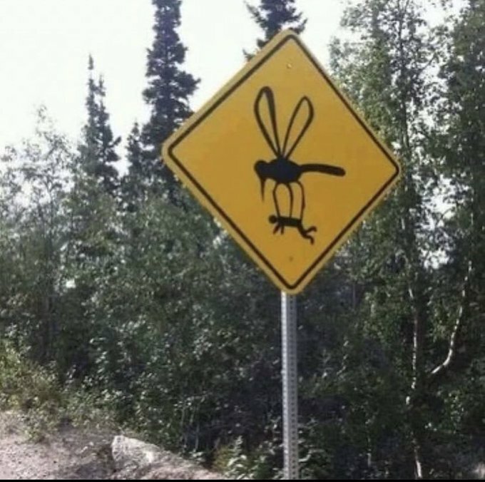 No idea what this means.