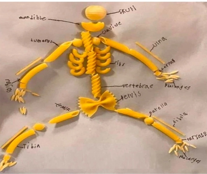 Anatomy of an Italian