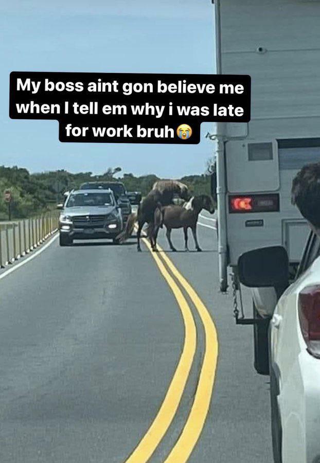 My boss would fire me for telling lies 😂