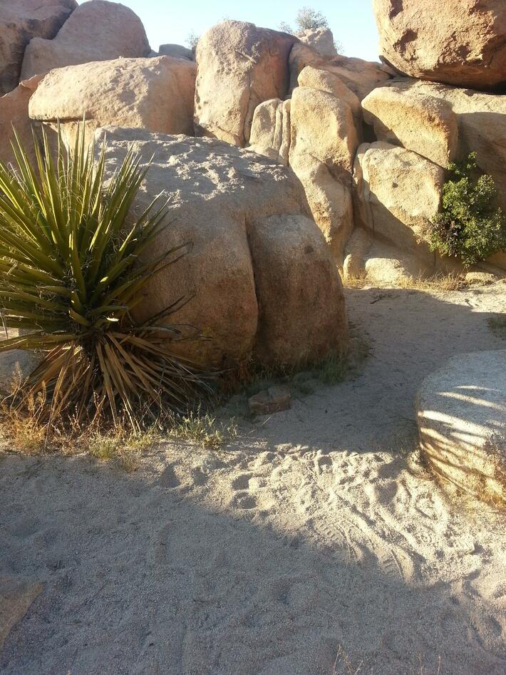 Well, I've found rock bottom, alright.