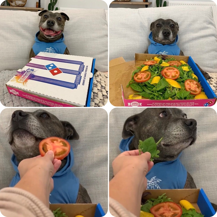 A short story of betrayal