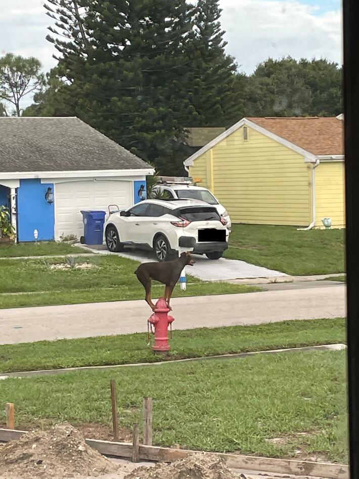 Opened up the living room window to see this going on…