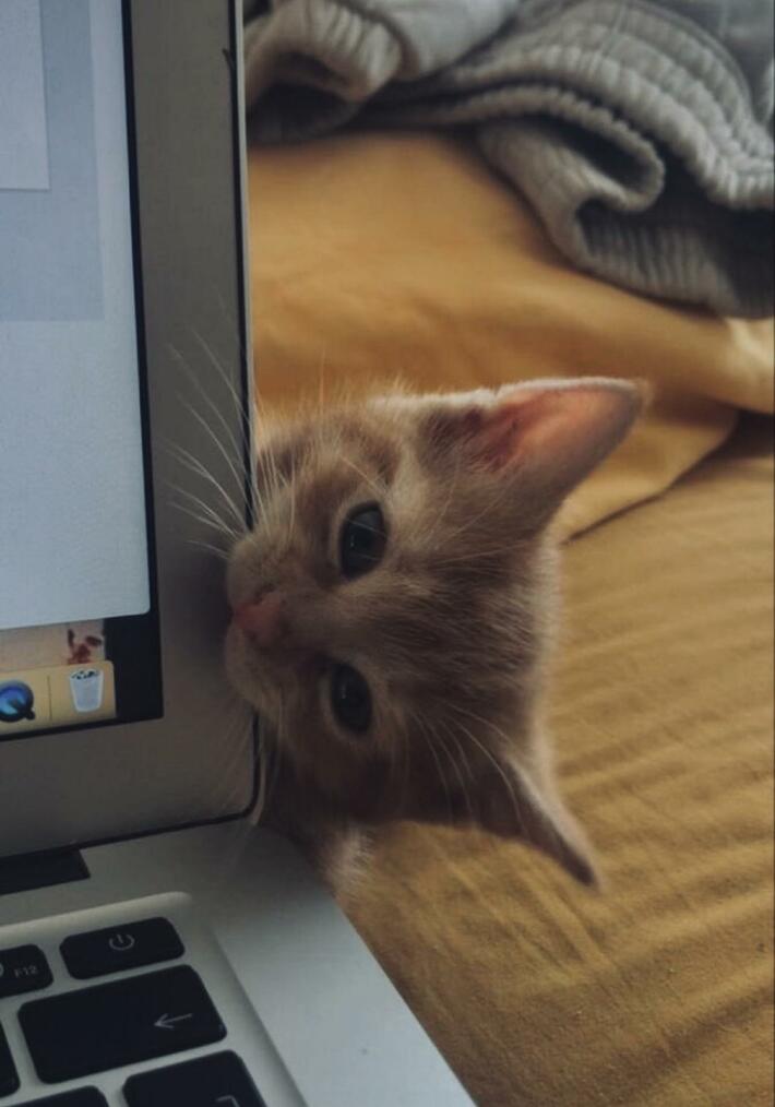 “What you doooing?” 👀