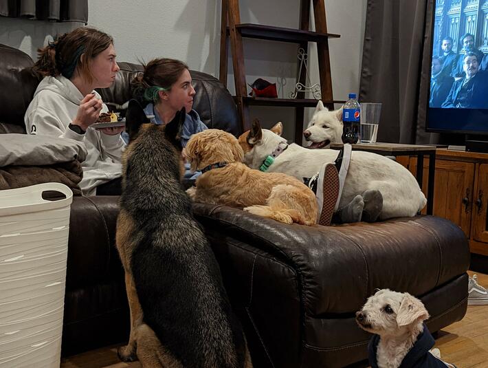 It's dinner time and one of the dogs is blind