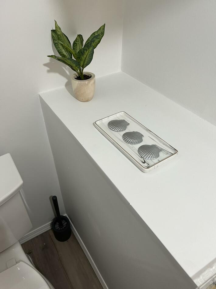 My wife doesn’t know how to use my new “decoration”.