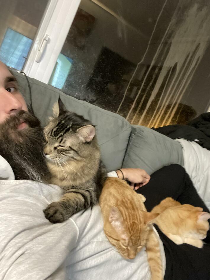 “you’re 30?”, “you’re single and live alone?”, and “wait how many cats?” are my free-spaces for Thanksgiving Bingo this year!