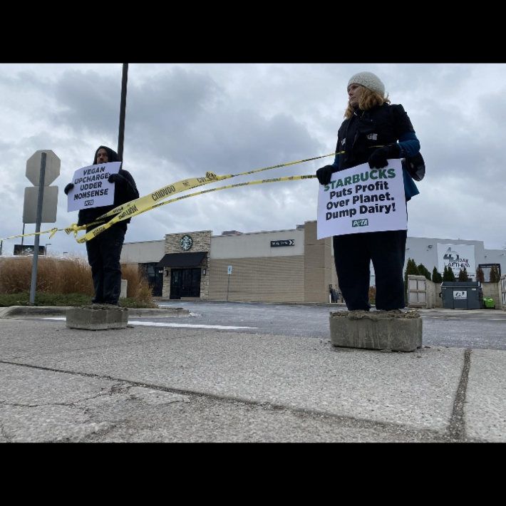 Something tells me that they didn't think this through.