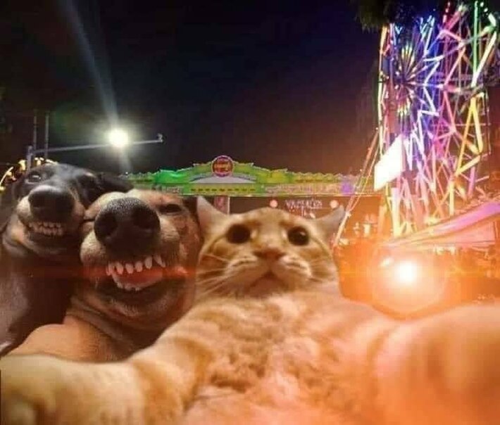 3AM Selfie During Guys Night Out