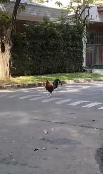 I’ve been waiting my whole life for this moment