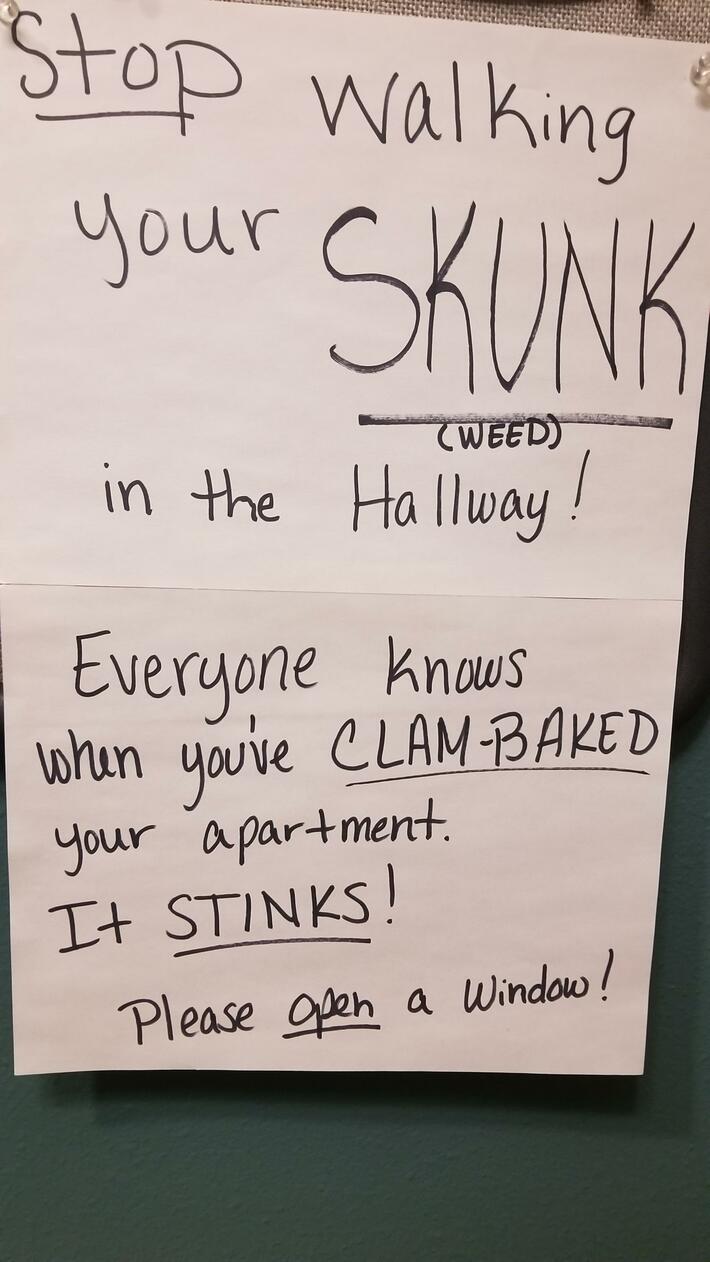 Spotted in my building (apartment) today