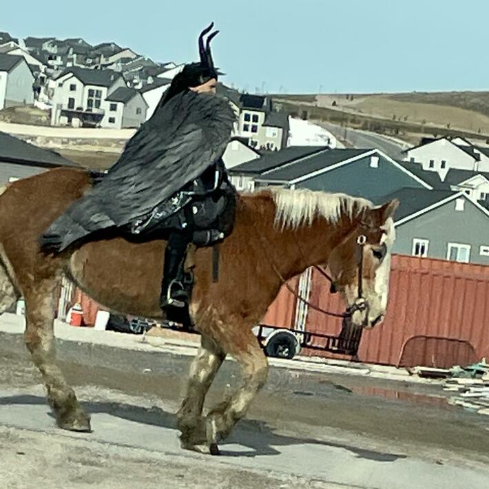 I managed to get a picture as I passed by, but I have so many questions and so few answers.