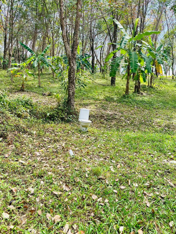 Went on a walk through the woods. Found a toilet.