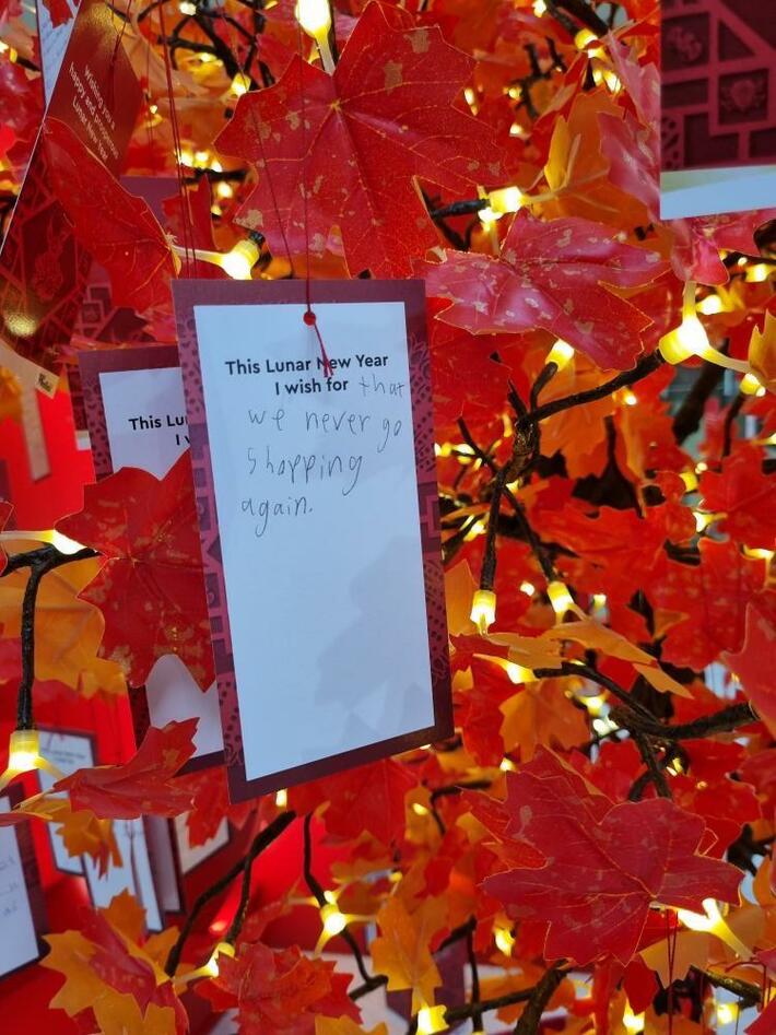 A kid’s wish on a mall’s lunar new year wishing tree