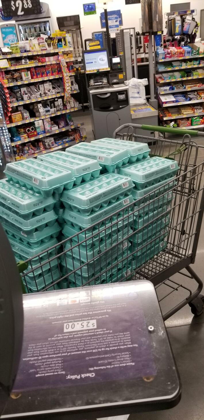 I won't tell anyone if I win the lottery but there will be signs