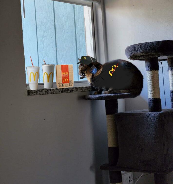 [oc] My cat always looks like she's trying to take an order by the window so i edited her into a mcdonalds employee. 🤣