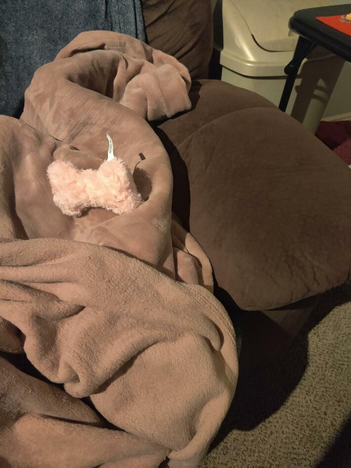 Is this blanket pink or brown? My wife and I have been debating this for 10 minutes 🤣