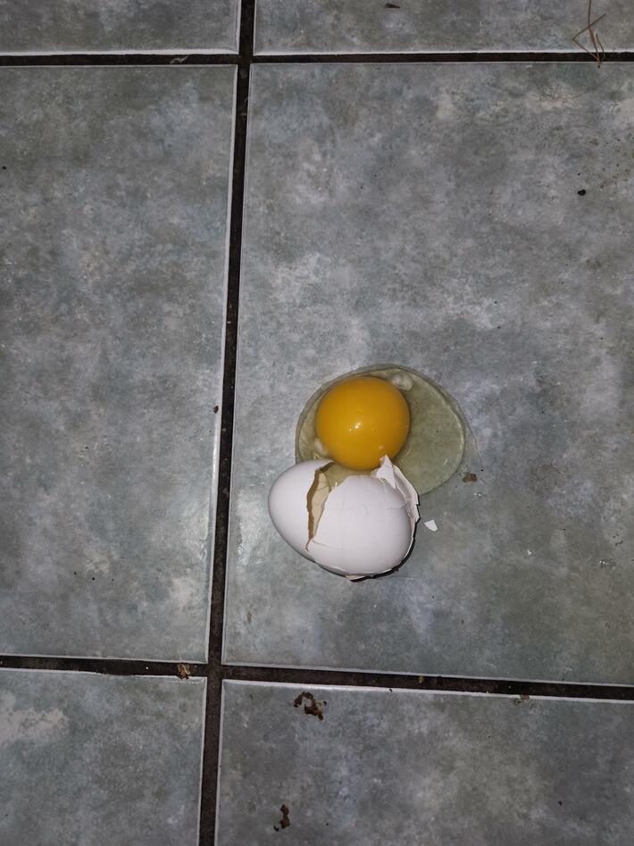 This morning I heard a terrible scream from the kitchen. My wife yelled, "Crap, I dropped $20 on the floor!"