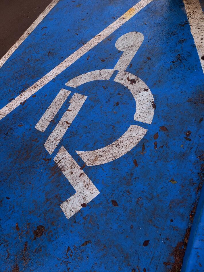 What am I looking at?