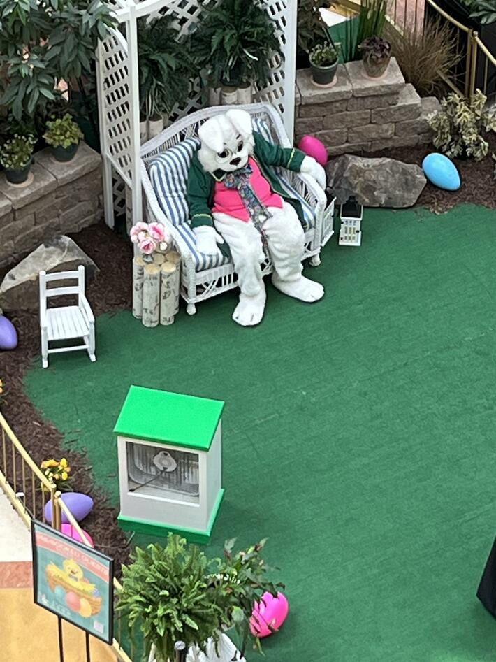The Easter Bunny was at the mall today, appears unenthused.