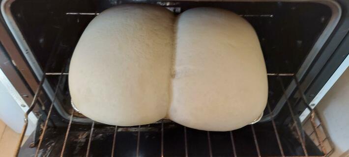 I let some bread rise overnight, should have spaced them further apart