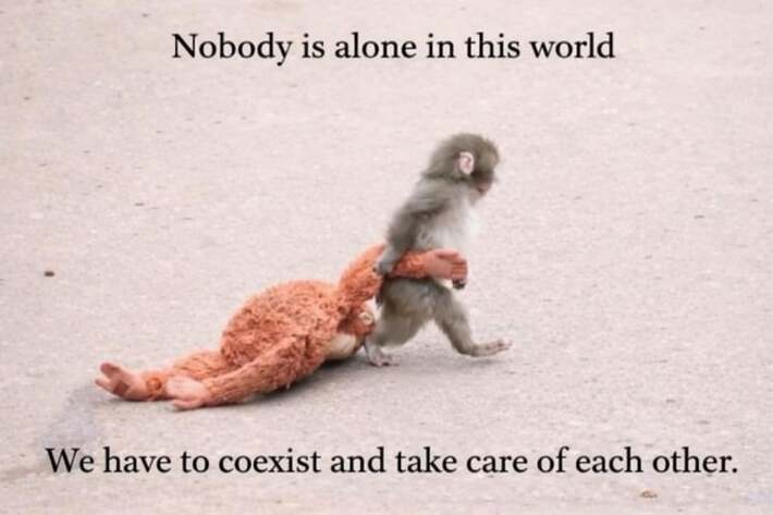 All in this together