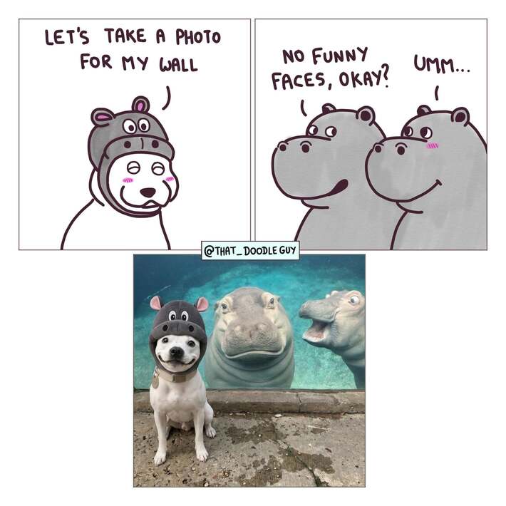 Photo for my wall [OC]