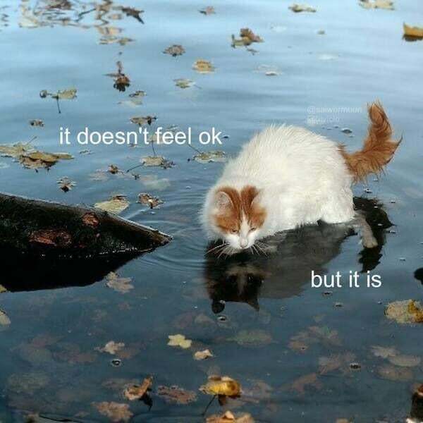 Pretty much me scooting through life