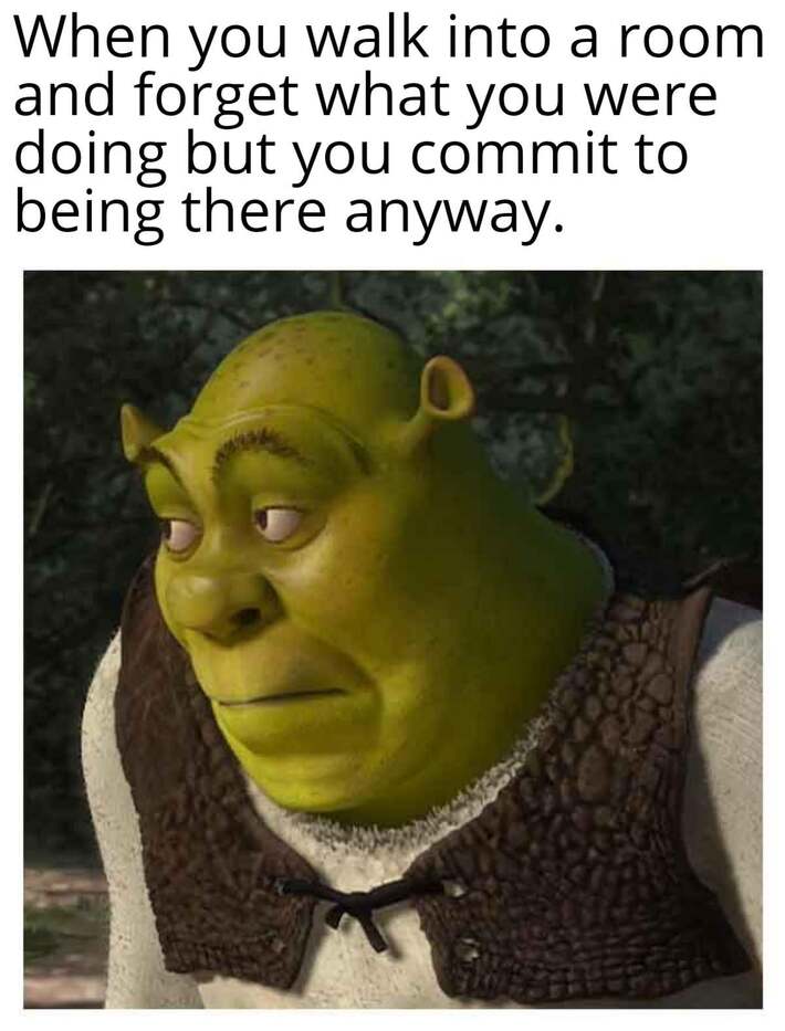 When you walk into a room and instantly forget why you’re there