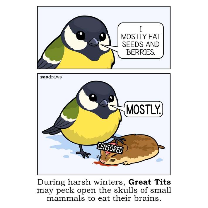 Snack attack [oc]