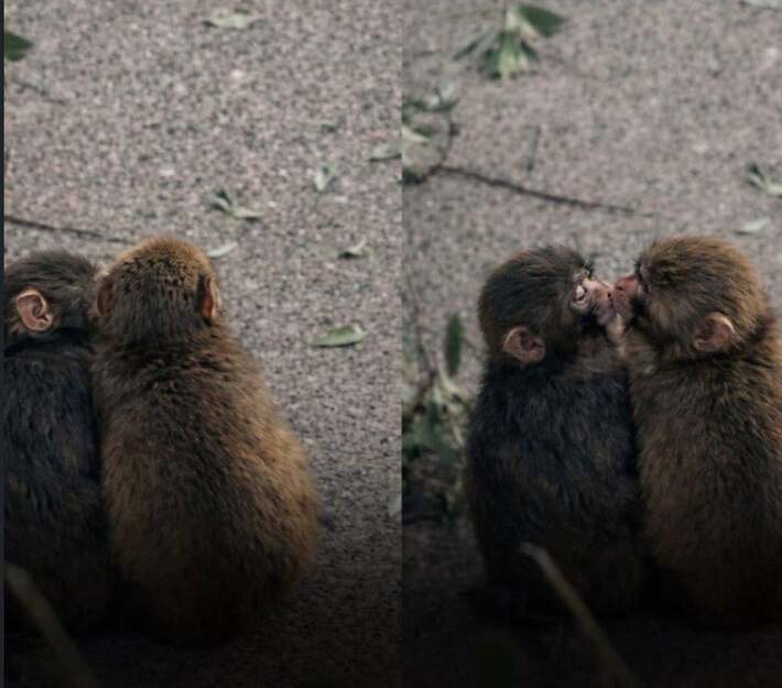 Punch found a girlfriend and you’re still single.