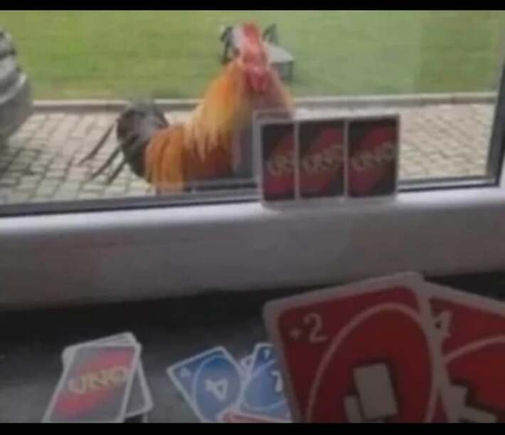 I play with my C*ck for a few hours a day.