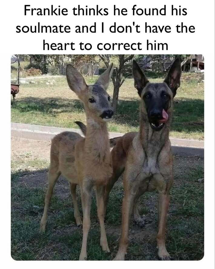 Frankie’s soulmate