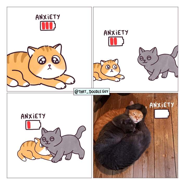 Some just have that kinda energy [OC]