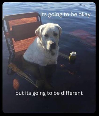 Unironically this dumb meme helped me through one of the worst times of my life